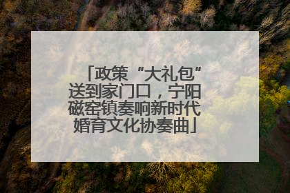 政策“大礼包”送到家门口，宁阳磁窑镇奏响新时代婚育文化协奏曲