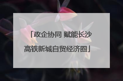 政企协同 赋能长沙高铁新城自贸经济圈