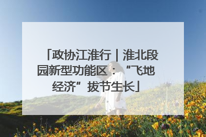 政协江淮行｜淮北段园新型功能区：“飞地经济”拔节生长