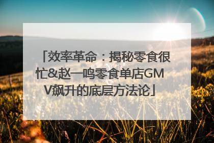 效率革命：揭秘零食很忙&赵一鸣零食单店GMV飙升的底层方法论