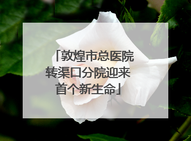 敦煌市总医院转渠口分院迎来首个新生命