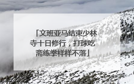 文班亚马结束少林寺十日修行，打球吃斋练拳样样不落