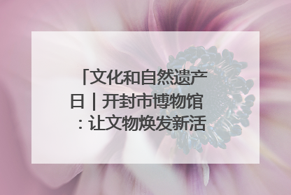文化和自然遗产日｜开封市博物馆：让文物焕发新活力绽放新光彩