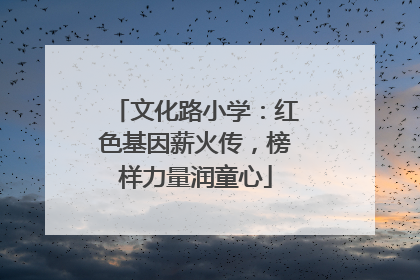 文化路小学：红色基因薪火传，榜样力量润童心