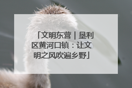 文明东营｜垦利区黄河口镇：让文明之风吹遍乡野