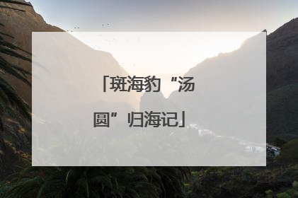 斑海豹“汤圆”归海记