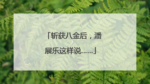 斩获八金后，潘展乐这样说……