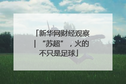 新华网财经观察｜“苏超”，火的不只是足球