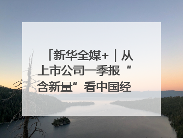 新华全媒+｜从上市公司一季报“含新量”看中国经济发展向“新”