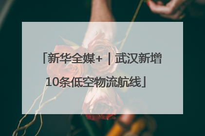新华全媒+｜武汉新增10条低空物流航线