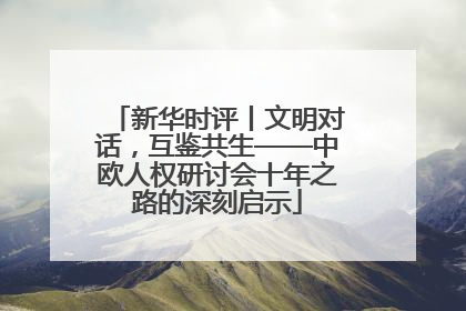 新华时评丨文明对话，互鉴共生——中欧人权研讨会十年之路的深刻启示