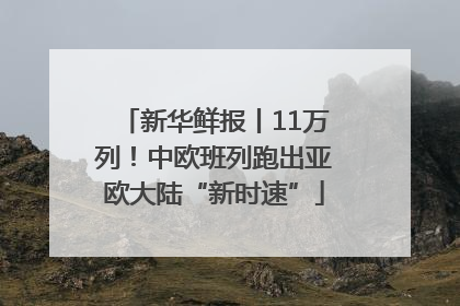 新华鲜报丨11万列！中欧班列跑出亚欧大陆“新时速”