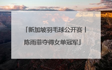 新加坡羽毛球公开赛丨陈雨菲夺得女单冠军