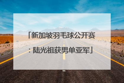 新加坡羽毛球公开赛：陆光祖获男单亚军