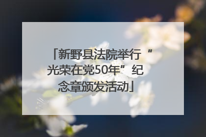 新野县法院举行“光荣在党50年”纪念章颁发活动