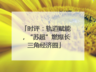 时评：轨道赋能，“苏超”燃爆长三角经济圈