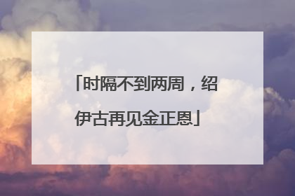 时隔不到两周，绍伊古再见金正恩