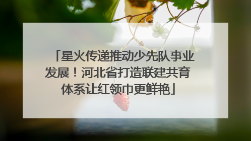 星火传递推动少先队事业发展！河北省打造联建共育体系让红领巾更鲜艳