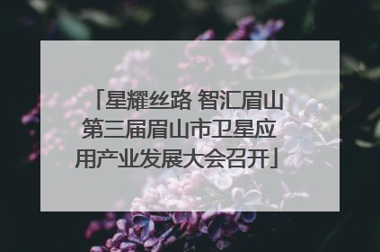 星耀丝路 智汇眉山 第三届眉山市卫星应用产业发展大会召开