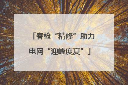 春检“精修”助力电网“迎峰度夏”