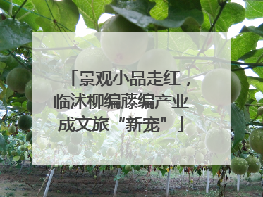 景观小品走红，临沭柳编藤编产业成文旅“新宠”
