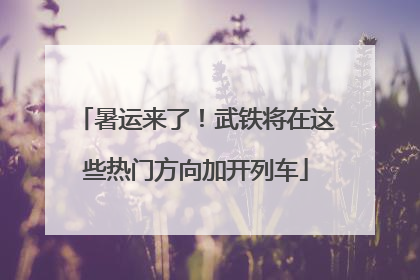 暑运来了！武铁将在这些热门方向加开列车