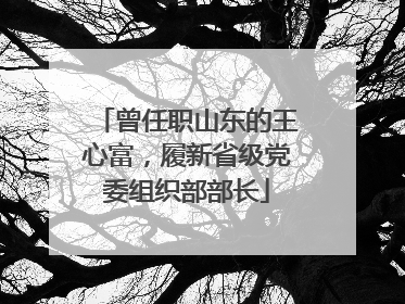 曾任职山东的王心富，履新省级党委组织部部长
