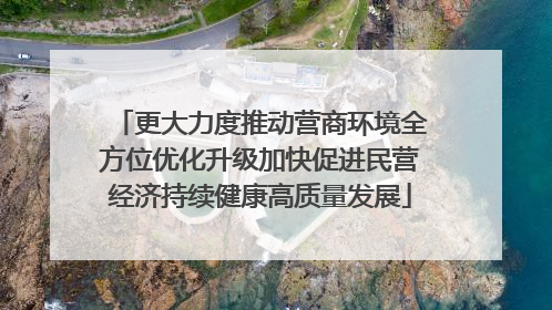 更大力度推动营商环境全方位优化升级加快促进民营经济持续健康高质量发展