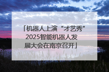 机器人上演“才艺秀” 2025智能机器人发展大会在南京召开
