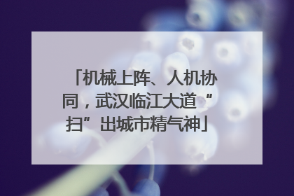 机械上阵、人机协同，武汉临江大道“扫”出城市精气神