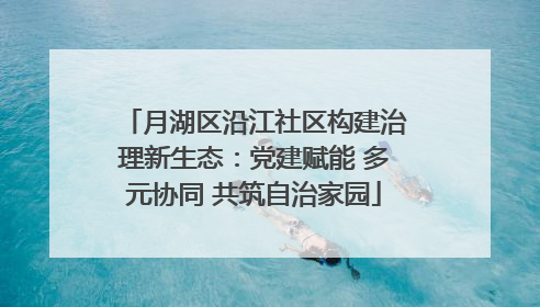 月湖区沿江社区构建治理新生态：党建赋能 多元协同 共筑自治家园