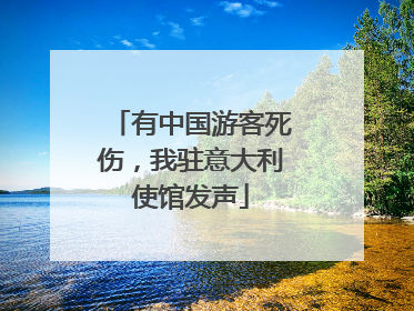 有中国游客死伤，我驻意大利使馆发声