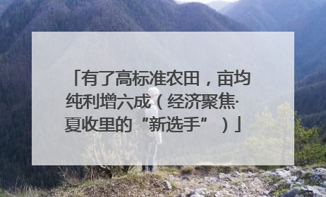 有了高标准农田，亩均纯利增六成（经济聚焦·夏收里的“新选手”）