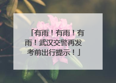 有雨！有雨！有雨！武汉交警再发考前出行提示！