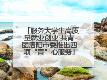服务大学生高质量就业创业 共青团洛阳市委推出四项“青”心服务