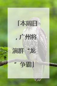 本周日，广州将演群“龙”争霸