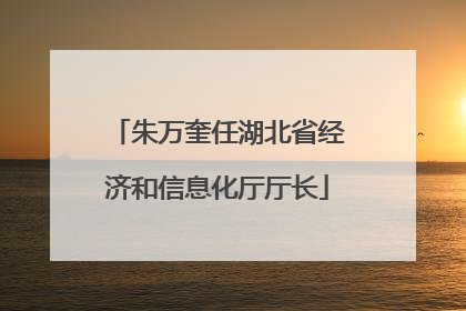 朱万奎任湖北省经济和信息化厅厅长