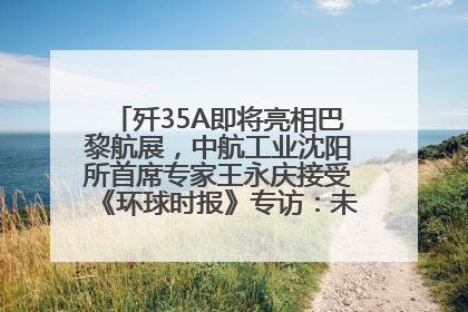 歼35A即将亮相巴黎航展，中航工业沈阳所首席专家王永庆接受《环球时报》专访：未来数量可以有很多