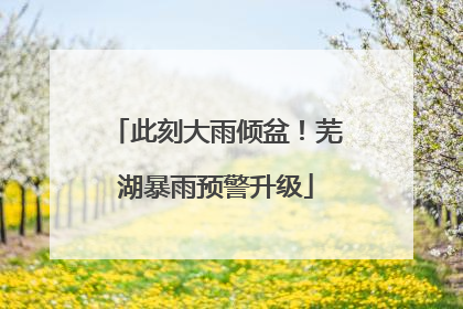 此刻大雨倾盆！芜湖暴雨预警升级