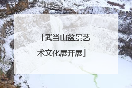 武当山盆景艺术文化展开展