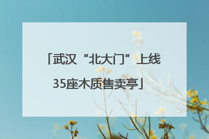 武汉“北大门”上线35座木质售卖亭