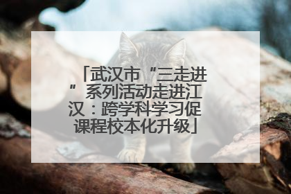 武汉市“三走进”系列活动走进江汉：跨学科学习促课程校本化升级
