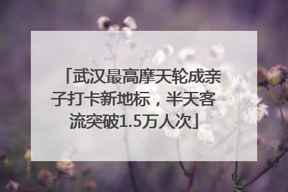 武汉最高摩天轮成亲子打卡新地标，半天客流突破1.5万人次