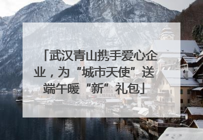 武汉青山携手爱心企业，为“城市天使”送端午暖“新”礼包