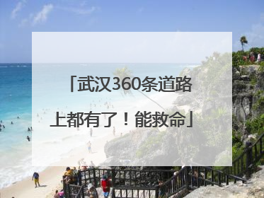 武汉360条道路上都有了！能救命