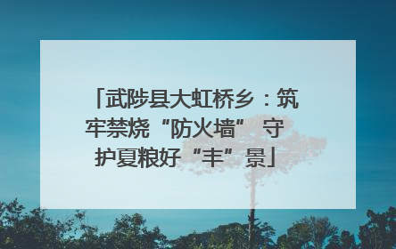 武陟县大虹桥乡：筑牢禁烧“防火墙” 守护夏粮好“丰”景