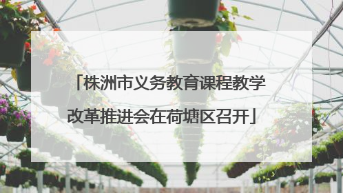 株洲市义务教育课程教学改革推进会在荷塘区召开