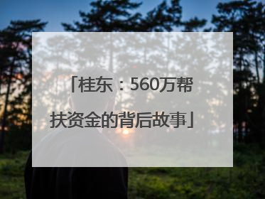 桂东：560万帮扶资金的背后故事
