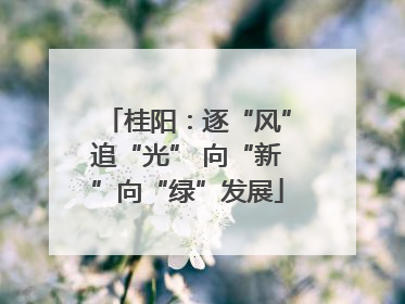 桂阳：逐“风”追“光” 向“新”向“绿”发展