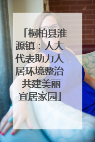 桐柏县淮源镇：人大代表助力人居环境整治 共建美丽宜居家园